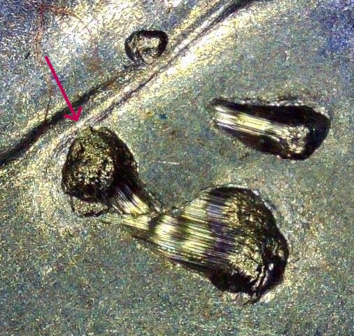 2021-P-Crossing-The-Delaware-25c